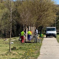 Obnova vyschnutej aleje pri športovej hale