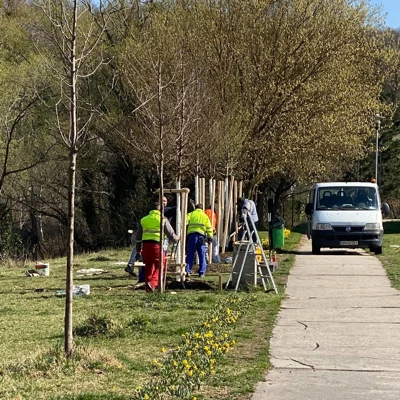 Obnova vyschnutej aleje pri športovej hale