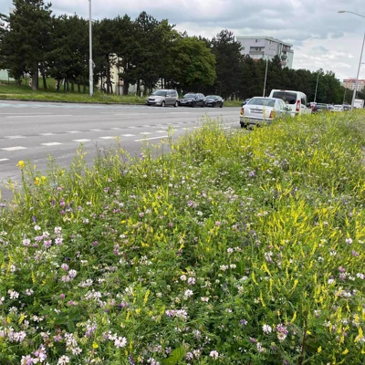 Inšpirujeme sa prírode blízkou údržbou mestskej zelene