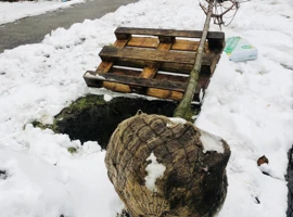 lepsi-lamac-sadenie-stromov-na-podhaji-1