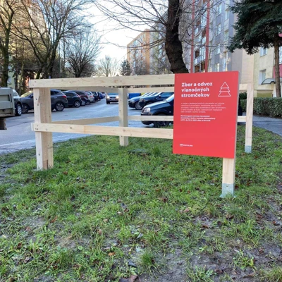 Pilotný zber vianočných stromčekov