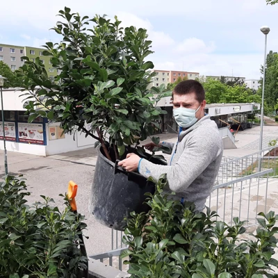 1. máj inak - výsadba na námestí