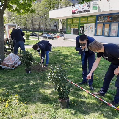 Jarná výsadba na námestí