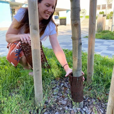 Ochranné kryty pre mladé stromy na námestí