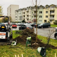 Nové stromy na Studenohorskej ulici