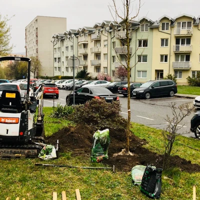 Nové stromy na Studenohorskej ulici